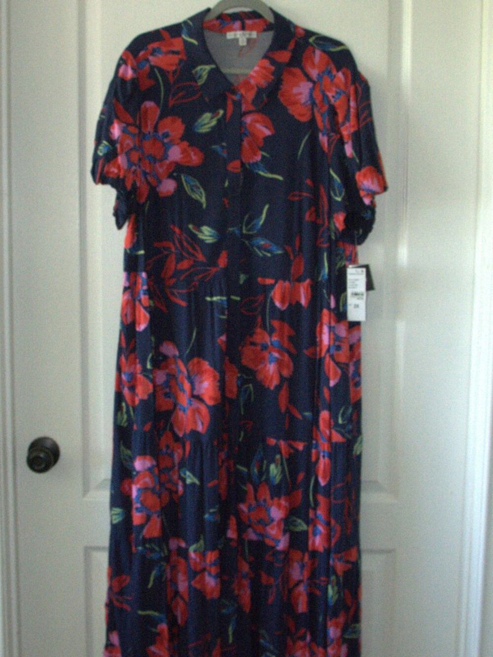 Sandra Darren Navy and Red Floral Maxi Dress size 2X